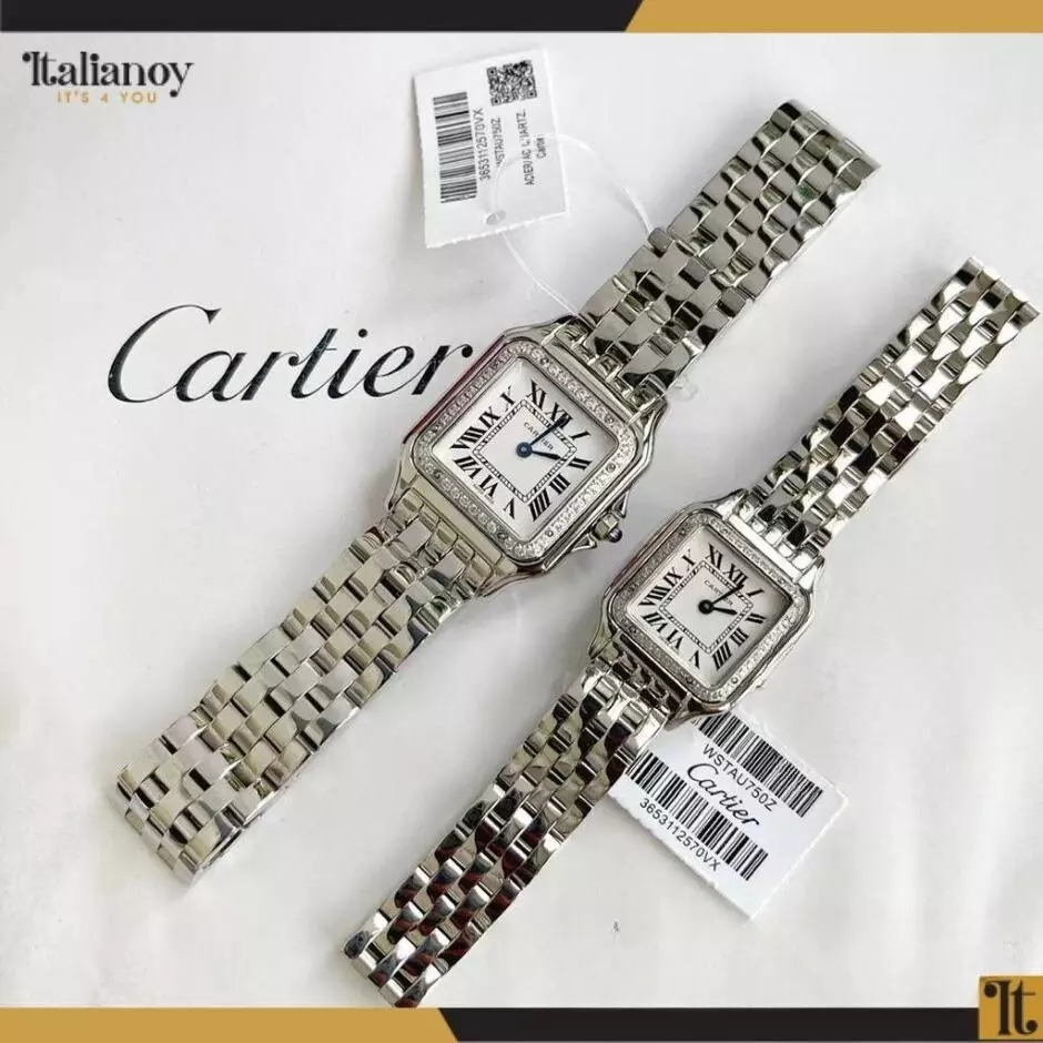 Santos De Cartier Watch Silver Stone