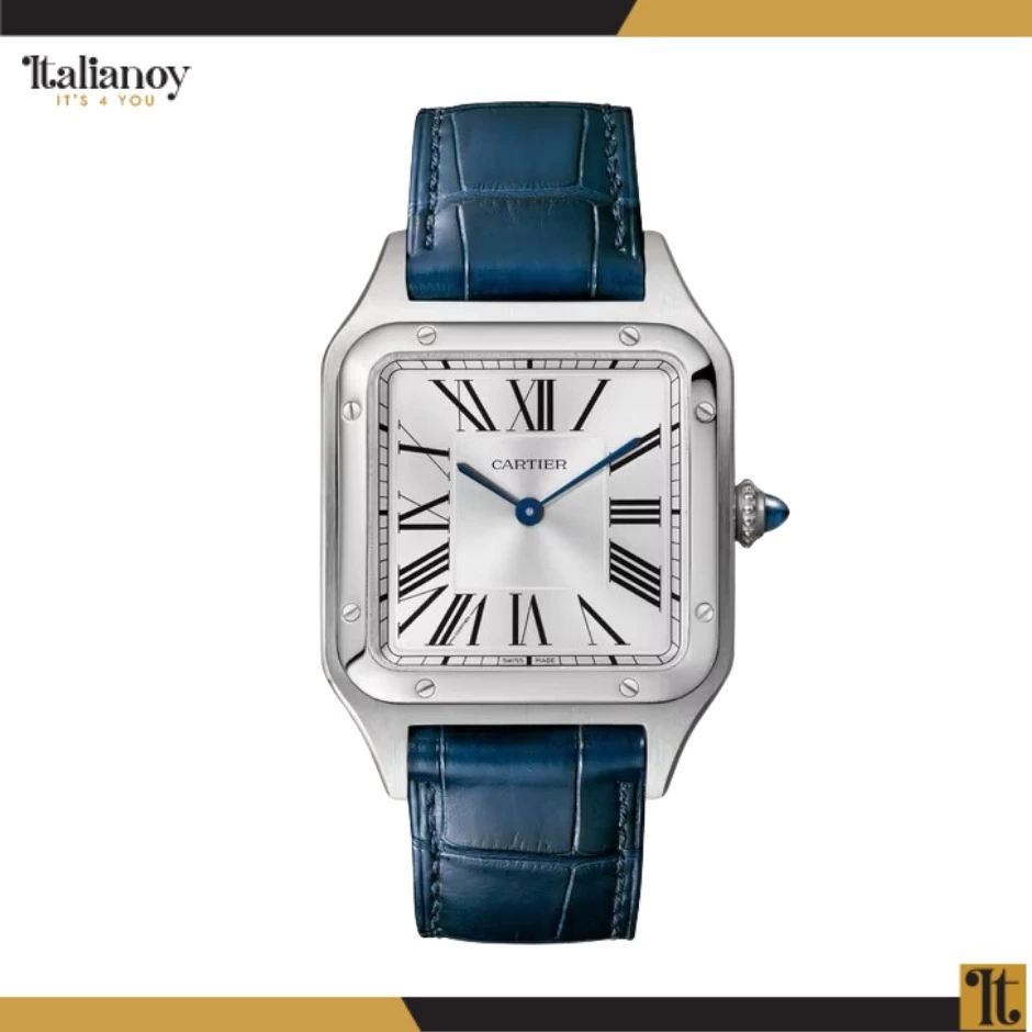 Cartier Watch  Silver-Blue